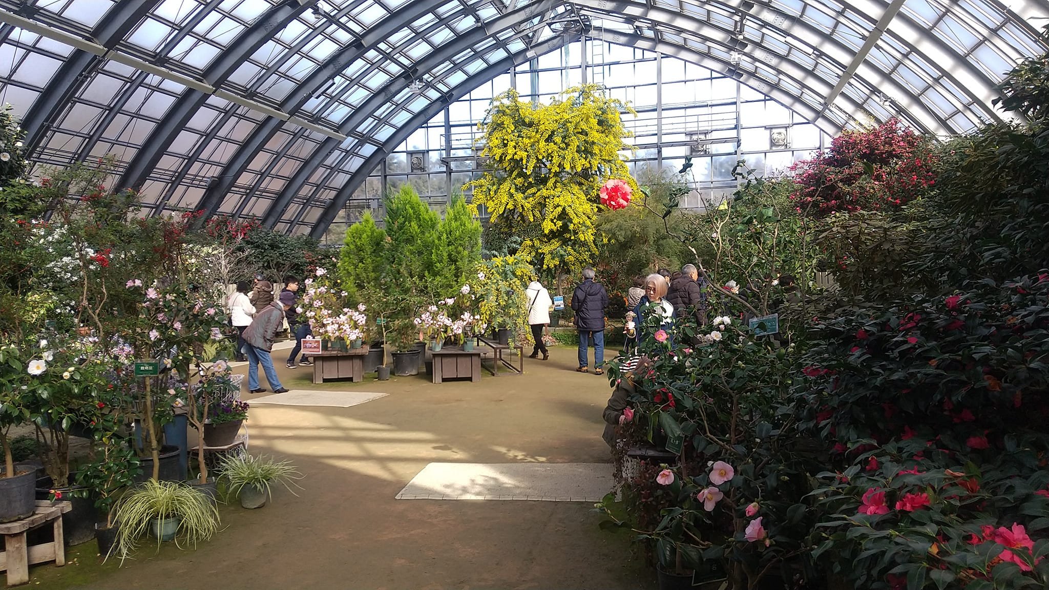 🏞️ 유리가하라 공원 이미지 5